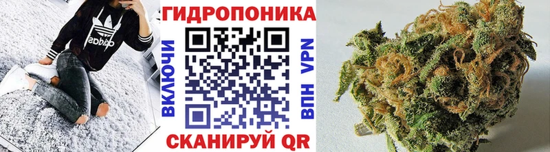 Где купить наркоту Северодвинск Марихуана  СОЛЬ  Кокаин  Гашиш  Амфетамин  Меф 