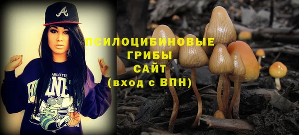 MDMA Premium VHQ Михайловск