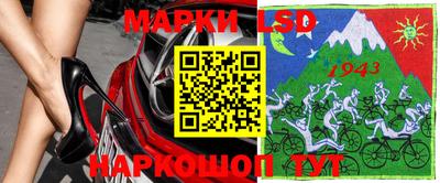 стафф Дубна