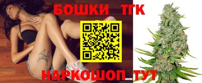 стафф Дубна