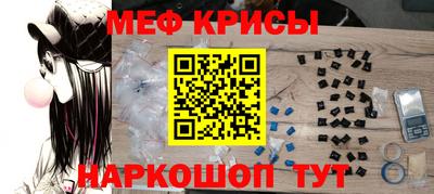 стафф Дубна