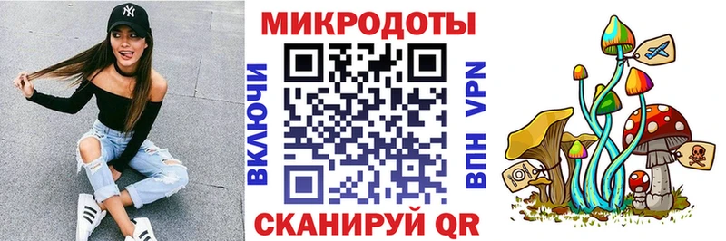 Галлюциногенные грибы Psilocybine cubensis  Северодвинск 