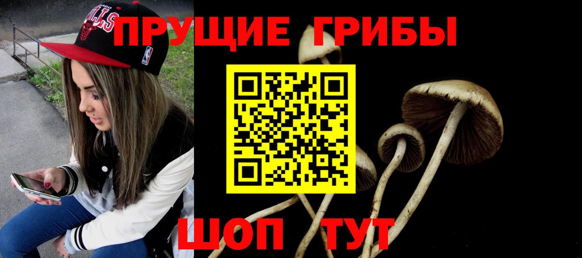 Северодвинск  Галлюциногенные грибы ЛСД  Вход с VPN  Псилоцибиновые грибы мицелий 